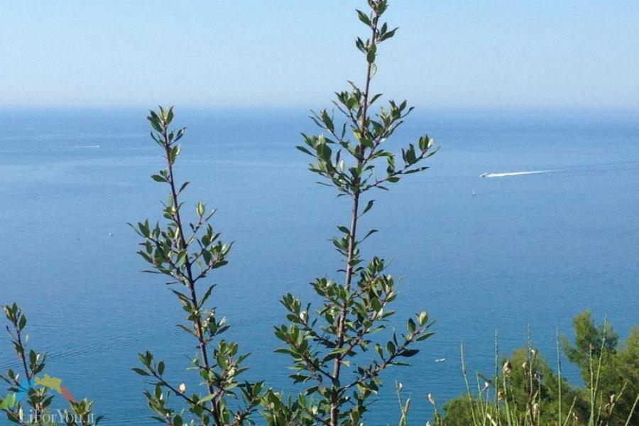 PANORAMI IN MTB - Riviera dei Fiori