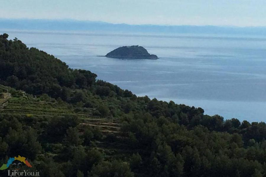 PANORAMI IN MTB - Riviera dei Fiori