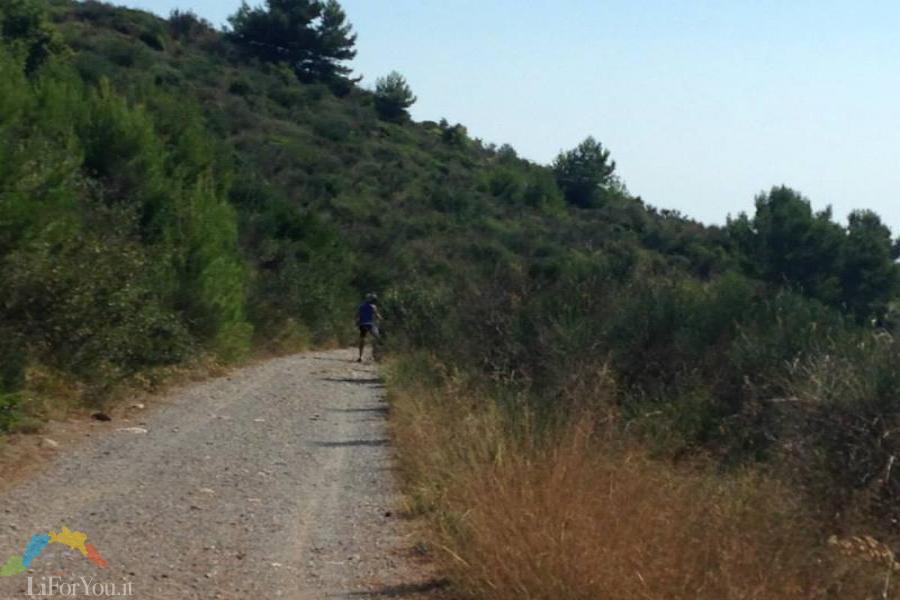 PANORAMI IN MTB - Riviera dei Fiori