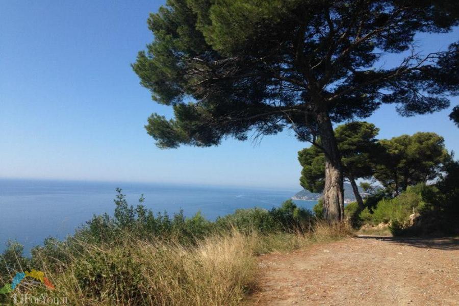 PANORAMI IN MTB - Riviera dei Fiori