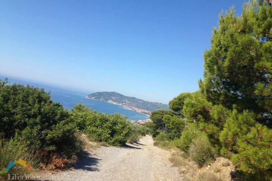 PANORAMI IN MTB - Riviera dei Fiori