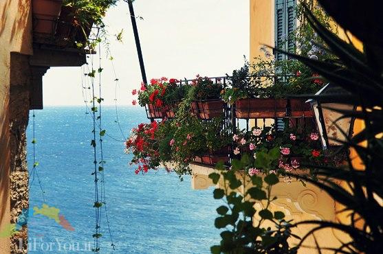 CERVO - Riviera dei Fiori