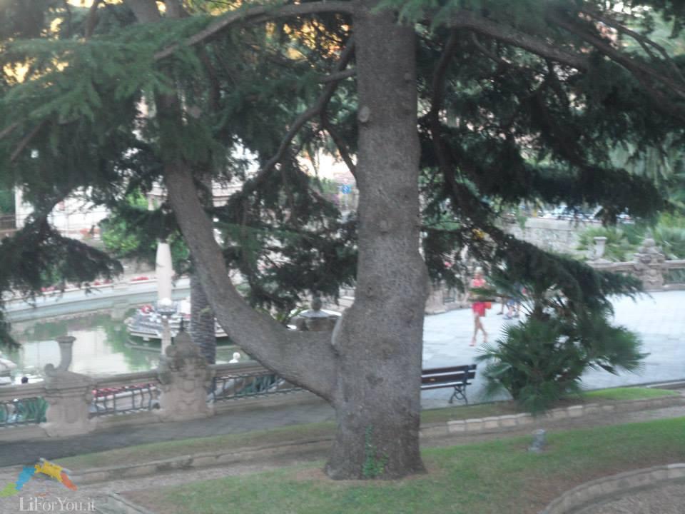 VILLA GROCK - Imperia Riviera dei Fiori